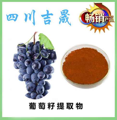 J9集团·(中国)首页